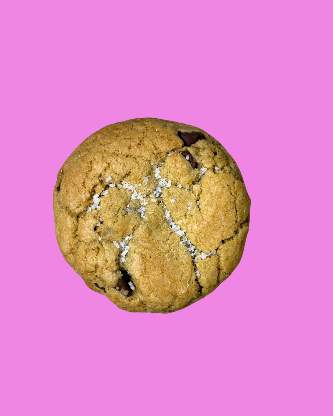 Salted Chocolate Chip